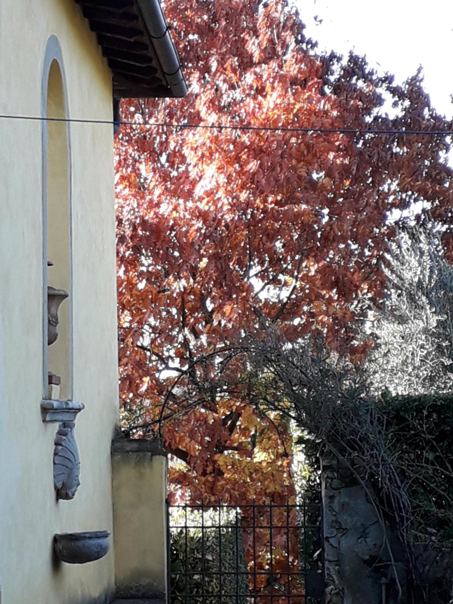 Villa Le Pergole- Firenze Dış mekan fotoğraf